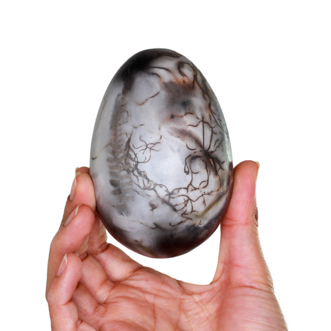 Morpheus collection Egg M 11