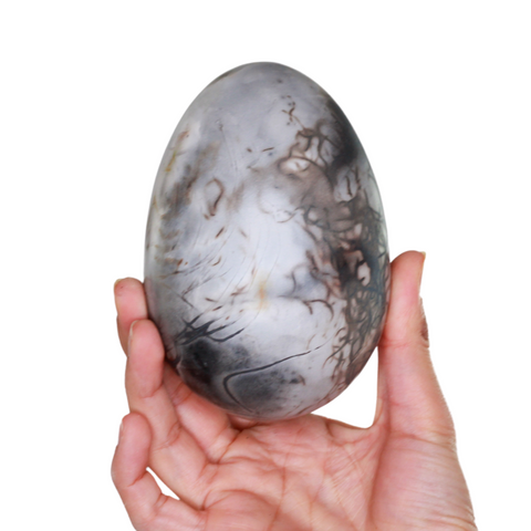 Morpheus collection Egg L 13