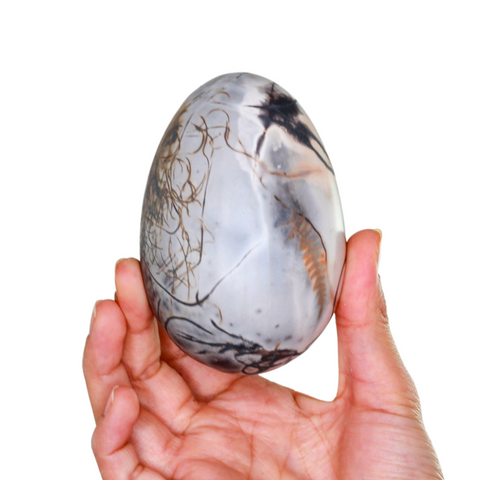 Morpheus collection Egg M 06