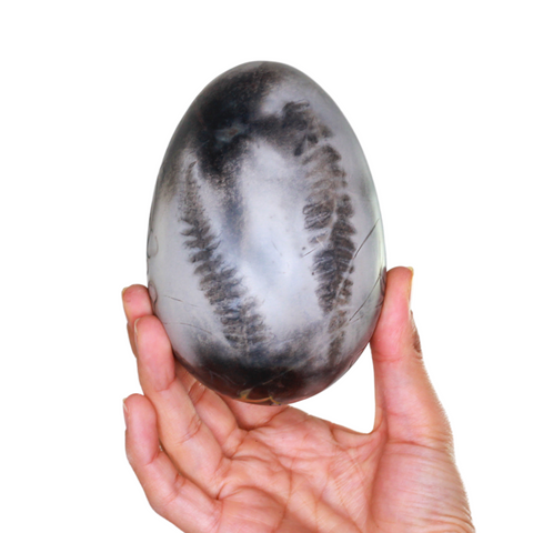 Morpheus collection Egg L 13